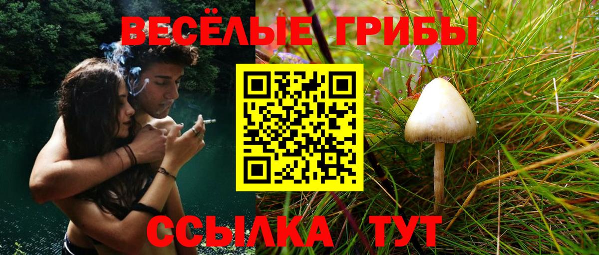 Псилоцибиновые грибы мицелий Фурманов